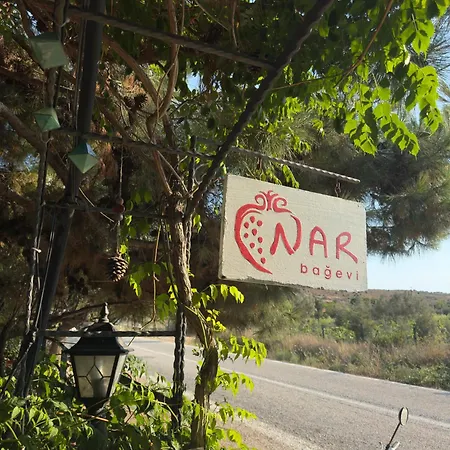 Nar Bagevi