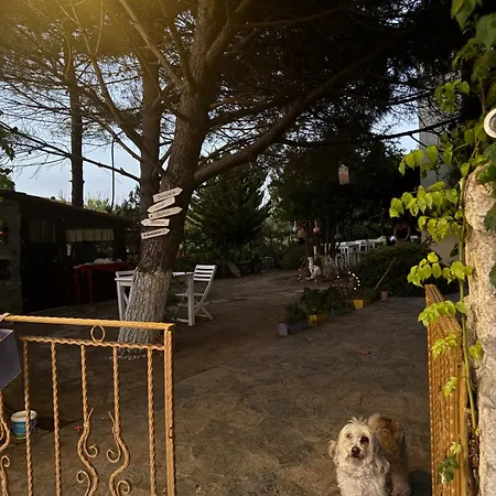 Nar Bagevi 3* 보즈자아다