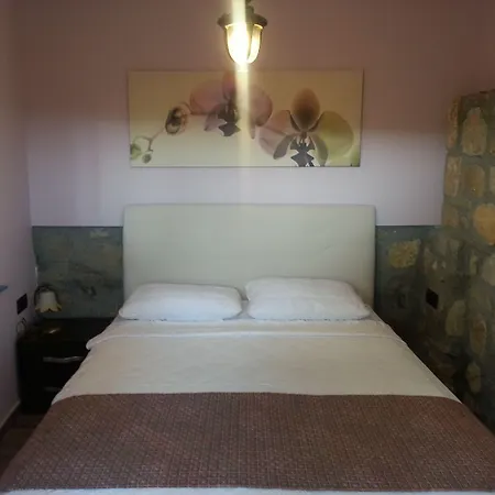 게스트하우스 Nar Bagevi 보즈자아다