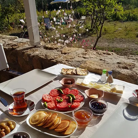 Nar Bagevi 3* 보즈자아다