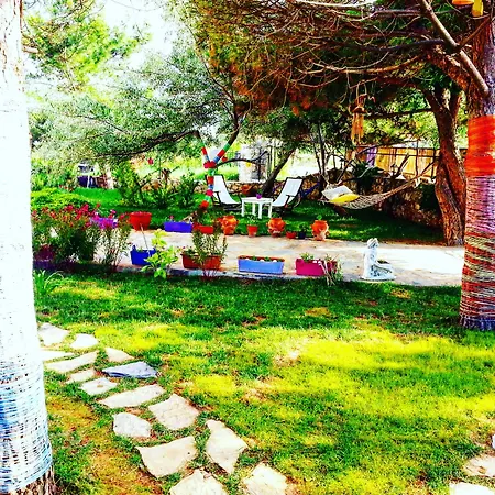 Nar Bagevi 3*