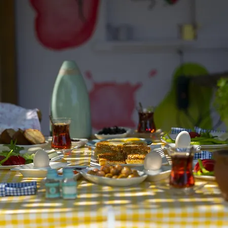 Nar Bagevi 3* 보즈자아다