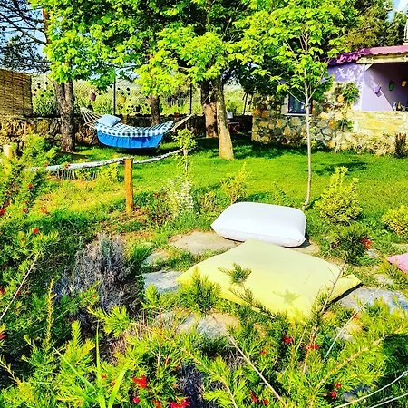 Nar Bagevi 게스트하우스 보즈자아다