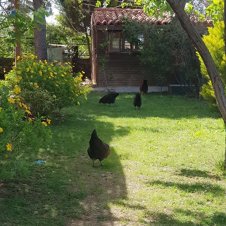 Nar Bagevi 게스트하우스 3*