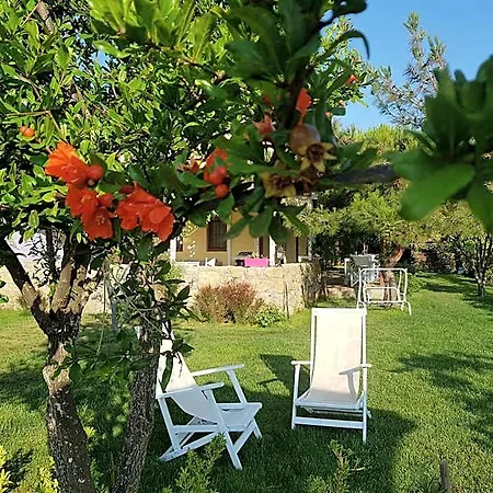 Nar Bagevi بيت ضيافة 3*