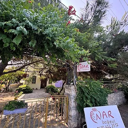 بيت ضيافة Nar Bagevi بوزجادا