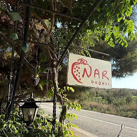 بيت ضيافة Nar Bagevi