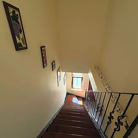 بيت ضيافة Nar Bagevi بوزجادا