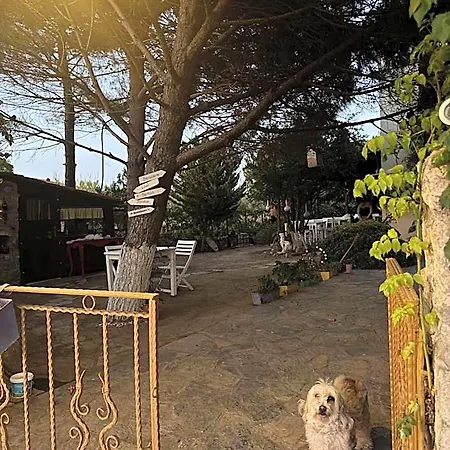 게스트하우스 Nar Bagevi 보즈자아다