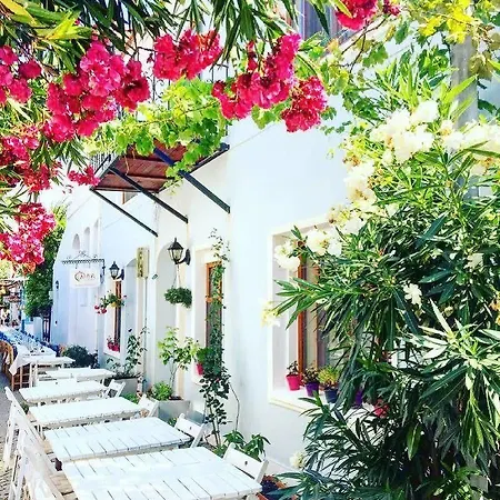 Nar Bagevi 보즈자아다