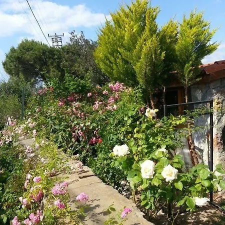 Nar Bagevi بيت ضيافة