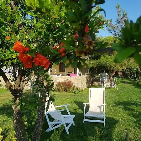 게스트하우스 Nar Bagevi 보즈자아다