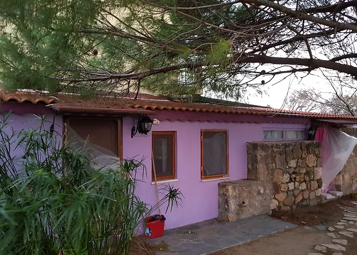 Nar Bagevi 3* Bozcaada