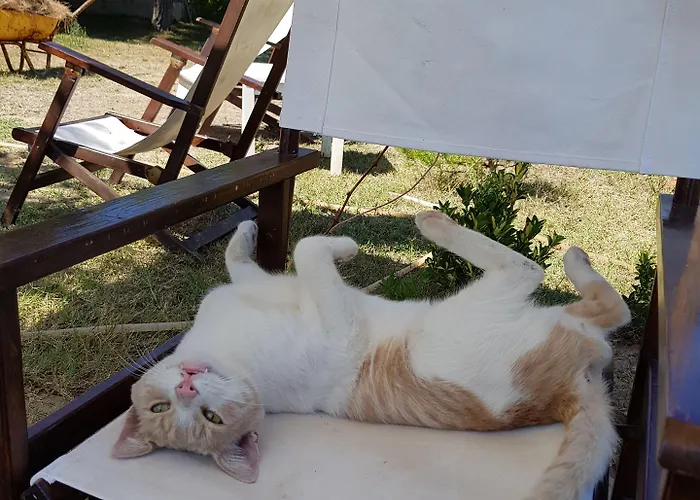 Maison d'hôtes Nar Bagevi 3*