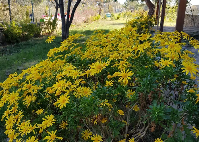 Maison d'hôtes Nar Bagevi