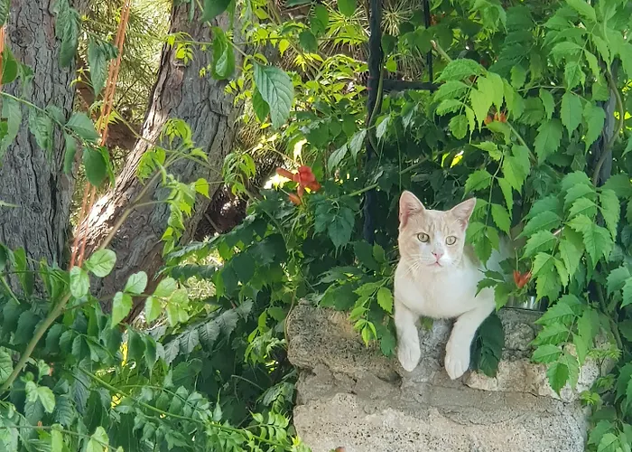 Nar Bagevi Maison d'hôtes 3*