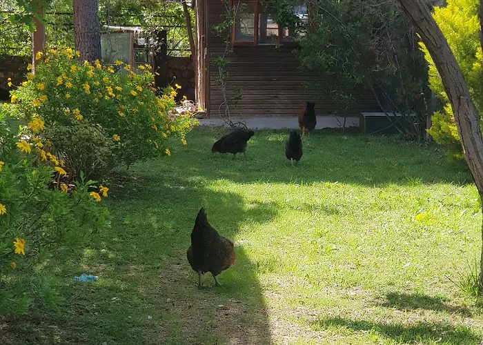 Nar Bagevi Maison d'hôtes 3*