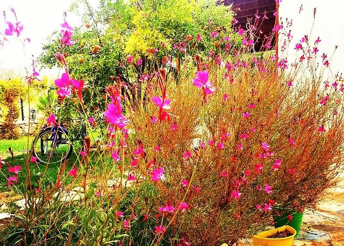 Maison d'hôtes Nar Bagevi